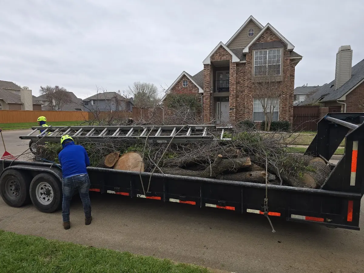 Expert Crown Reduction with proper safety equipment in Webster City